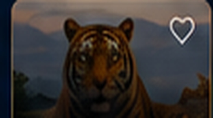 Wildlife