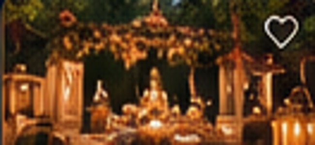 Best Jungle Wedding Destinations in India