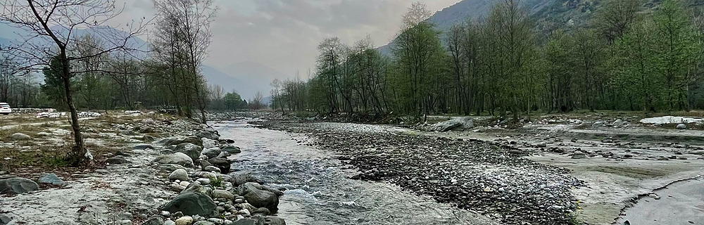 Manali