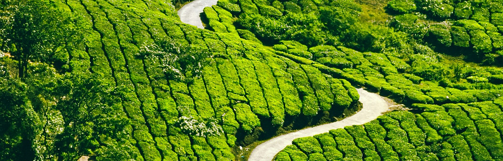 Munnar