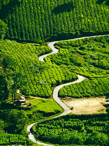 Munnar