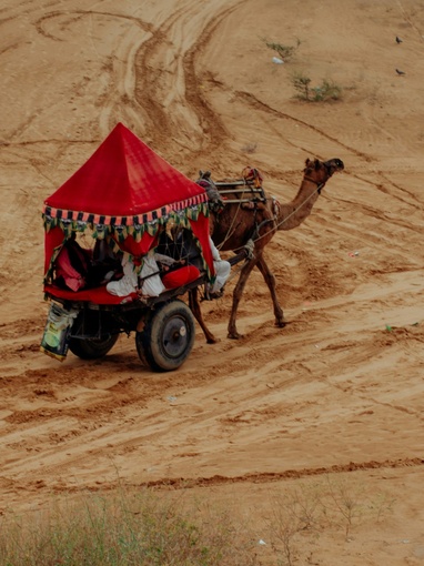 Pushkar